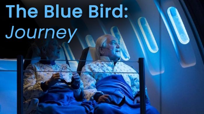 STG The Blue Bird (Journey)