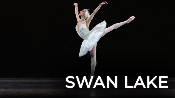 STG Swan Lake