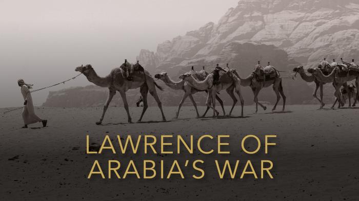 STG Lawrence Of Arabia's War