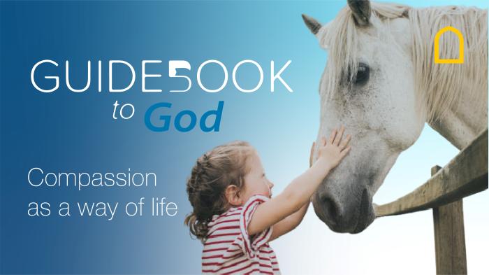 STG Guidebook to God