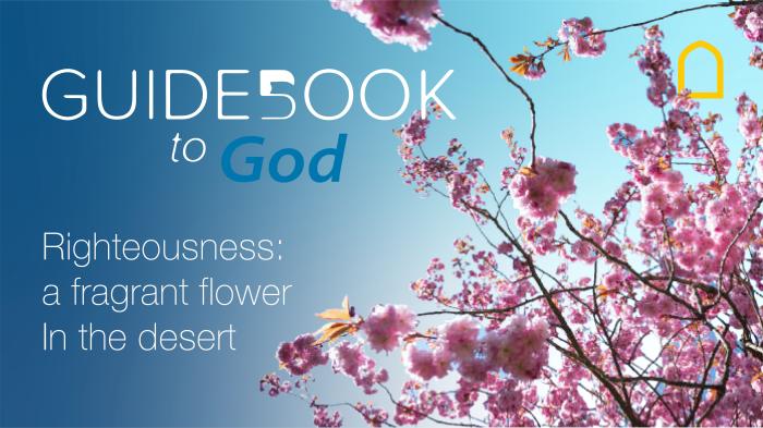 STG Guidebook to God