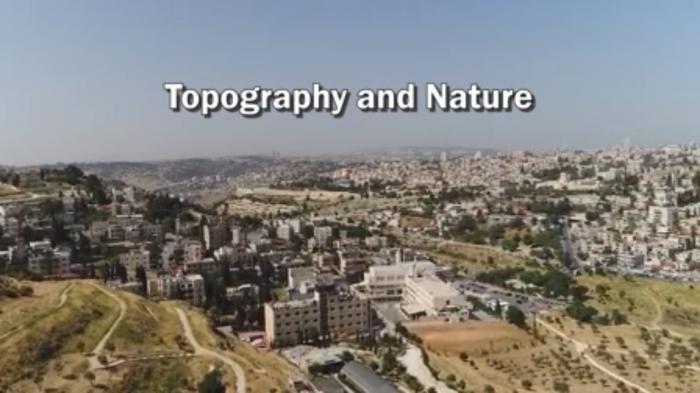 STG Topography and Nature