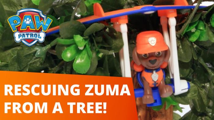 STG Rescuing Zuma