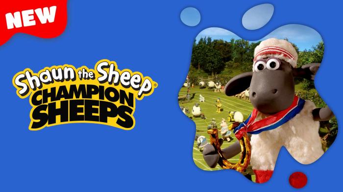 STG Championsheeps