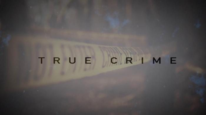 New True Crime: Cold Cases: The Riddle of Cheslyn Hay