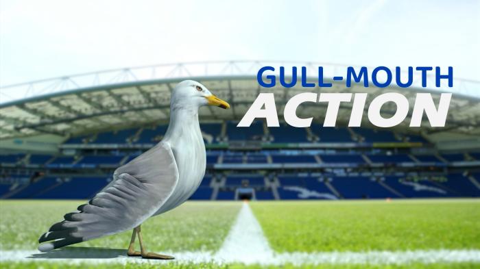 STG Gull-Mouth Action: Gull-Mouth Action podcast - Brighton exit Carabao Cup and away game against Liverpool