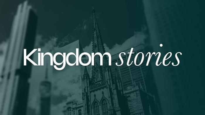 STG Kingdom Stories